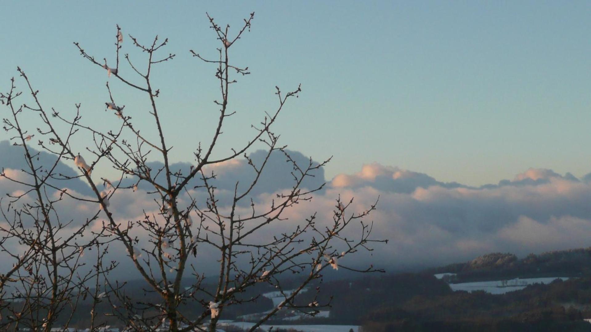 Ferienwohnungen Alpenblick Mit Garten -Panoramasauna- Kirchdorf im Wald Exterior photo